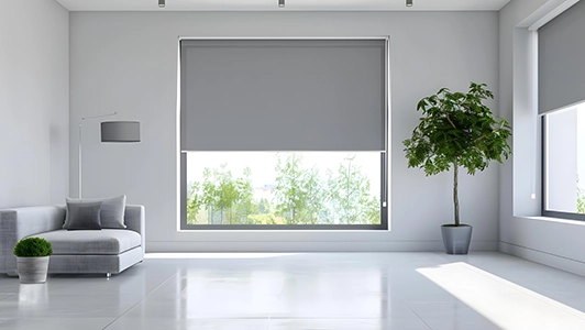 Motorized Blinds