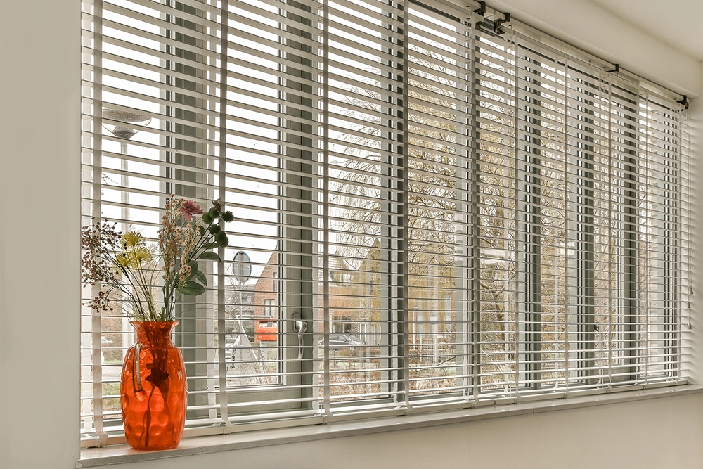 Types of Zebra Blinds