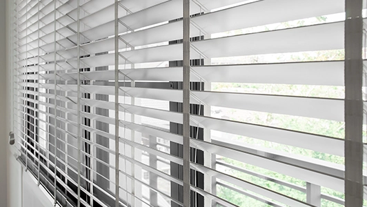 Zebra Blinds
